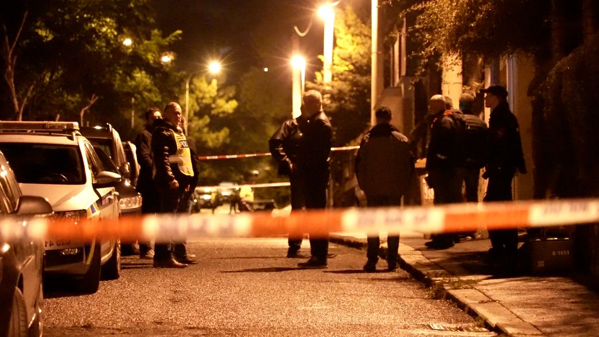 Agresivní muž, kterého v Ústí postřelila policie, zemřel